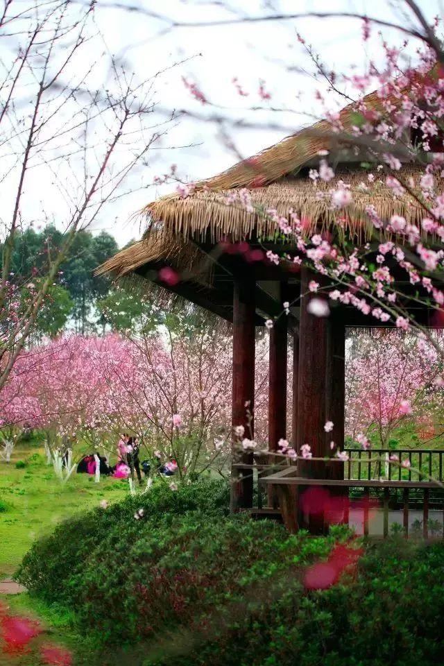 电影版《花千骨》为什么没有观众缘