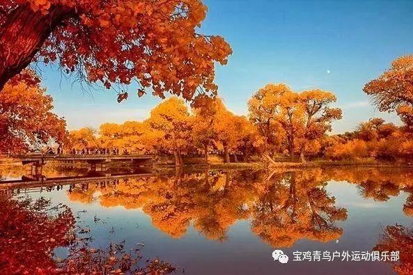 倾世一梦